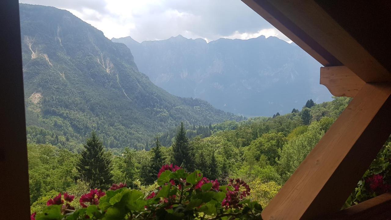 Maso Weiss Bed and Breakfast Bieno  Buitenkant foto